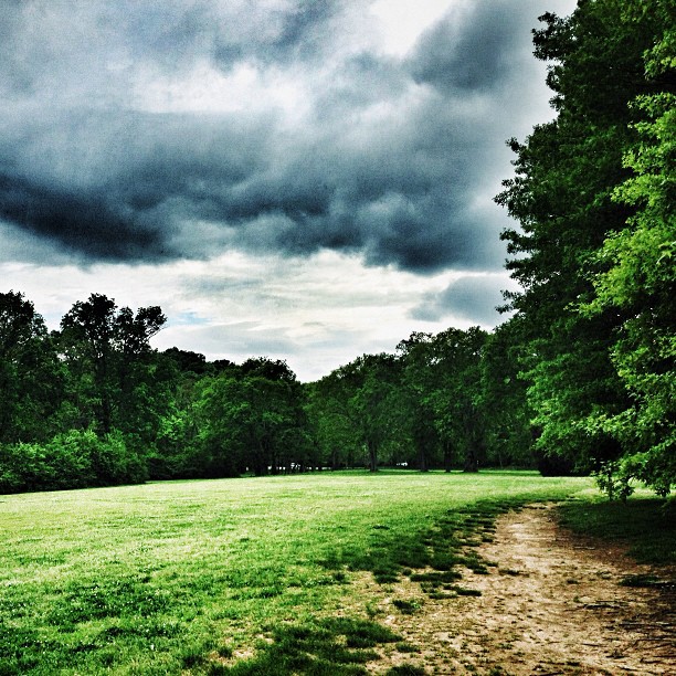 Vaughn’s Gap cross country course at the end of my run this afternoon
