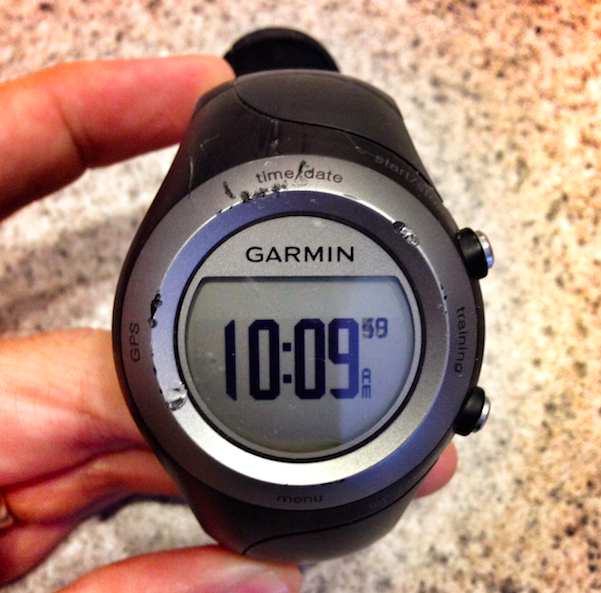 forerunner 405