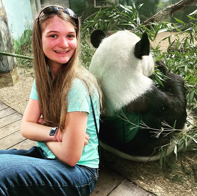 Back-to-back. #zooatlanta #pandas #family #travel